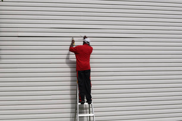 Best Steel Siding Installation  in Center Point, IA